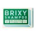Brixy Shampoo Bar Mint Eucalyptus 4oz Front View