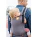 Father back carries toddler in a Tula Stormy Free-to-grow baby to toddler carrier