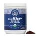Vimergy Wild Blueberry Powder