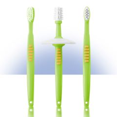 Reer Beginner's Toothbrush set with Safety Plate