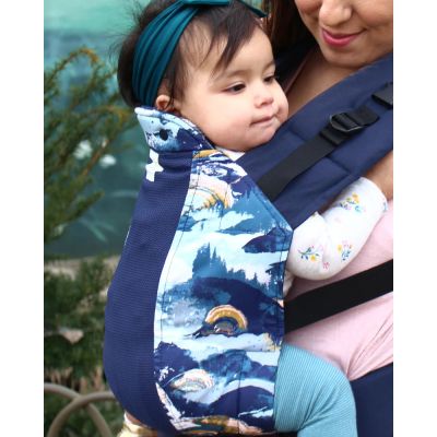 Kinderpack Carrier Agate with Koolnit toddler front carry