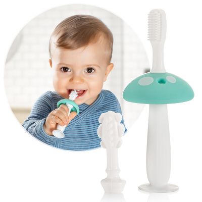 Reer BabyCare Toothbrush Training Set