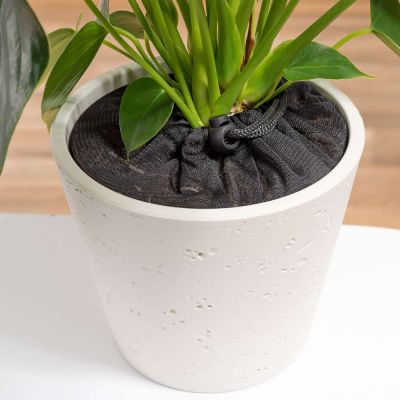 Reer Plant Protective Net 20cm in flower pot