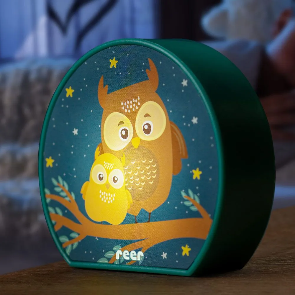 Baby owl best sale night light